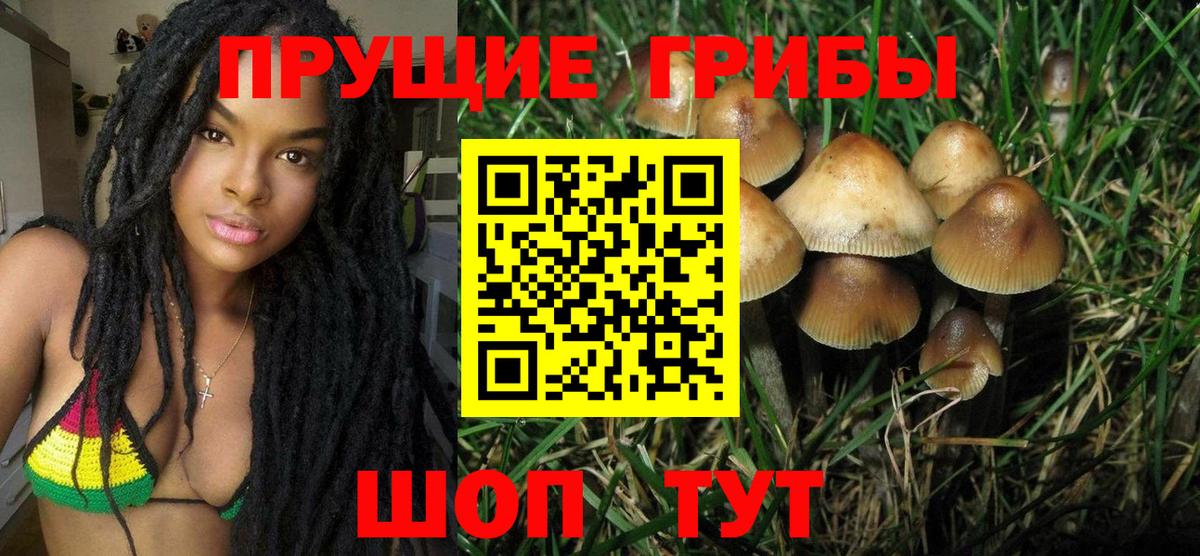 Псилоцибиновые грибы Psilocybe Павлово