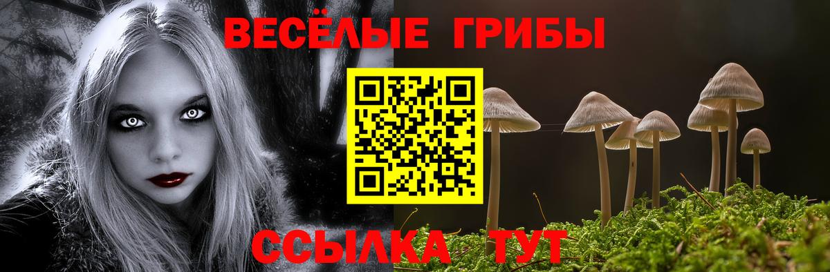 купить закладку  Псилоцибиновые грибы Magic Shrooms  Вход с VPN  Галлюциногенные грибы Psilocybine cubensis  Павлово 